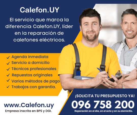 Técnico especializado revisando un calefón en domicilio en Montevideo.